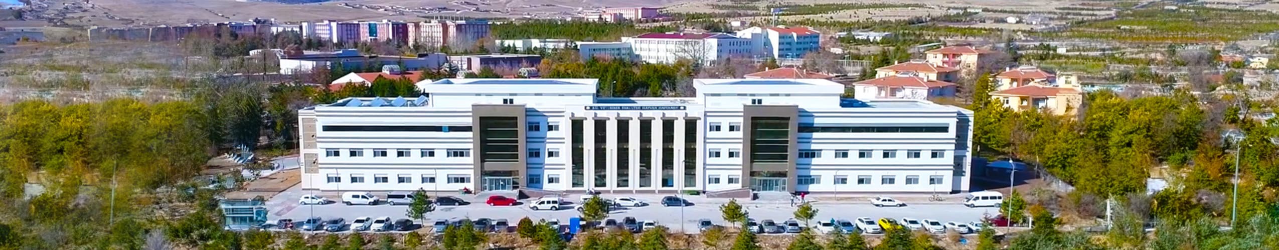 En İyi Hayvan Hastanesi
