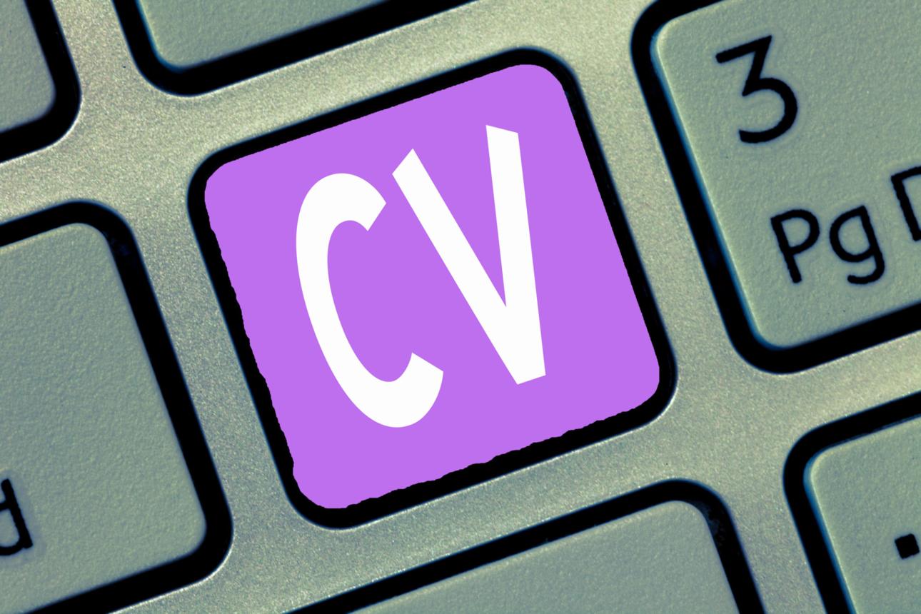 Doğru Cv Nasıl Hazırlanır? - görsel-5