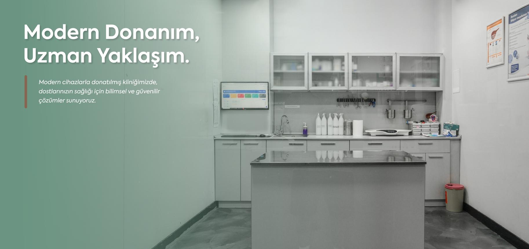 Türkiye'nin En İyi Veterinerleri 2026 Hepsini Sizin İçin Derledik - görsel-4