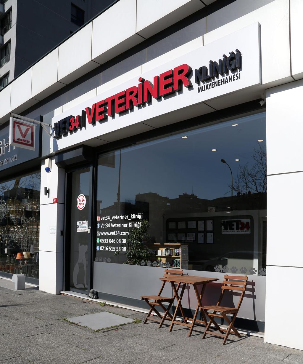 İstanbuldaki En İyi Veterinerler 2026 Rehberi - görsel-3