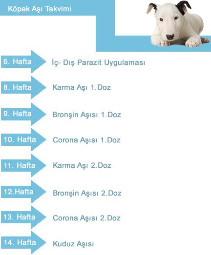 İstanbuldaki En İyi Veterinerler 2026 Rehberi - görsel-21
