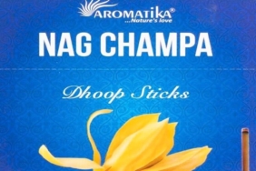 Perakendeciler İçin Güvenli Adres: Toptan Ürünlerde Arkadaş Hediyelik Farkı